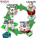 MASTERSPOOL_INSTRUKCJA_ROSA3D.webp